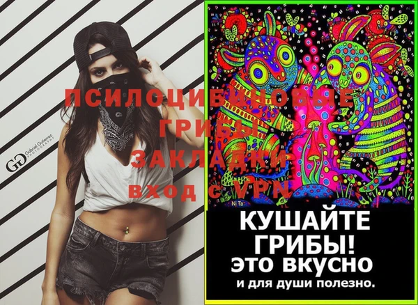 apvp Костерёво