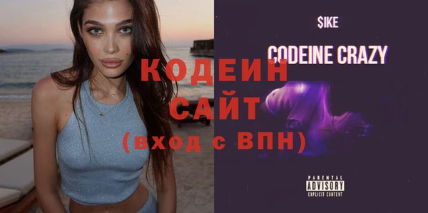 твердый Козельск
