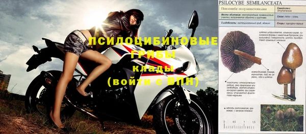 apvp Кинешма
